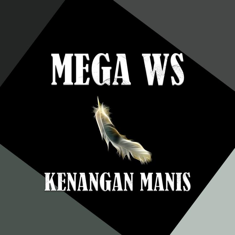 MEGA WS's avatar image