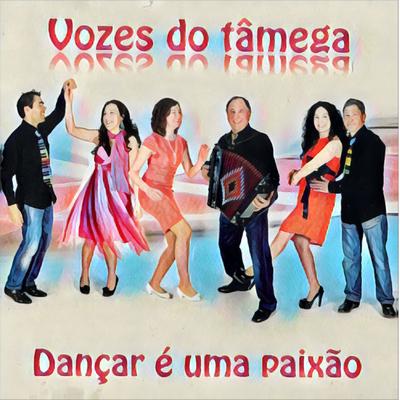 Ó Terra Tão Querida By Vozes do Tâmega's cover