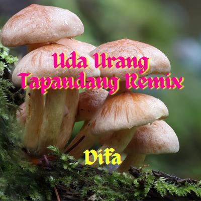 Uda Urang Tapandang Remix's cover