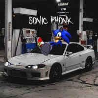 Phonk Walk Meme Sonic Gif | TikTok Music Search