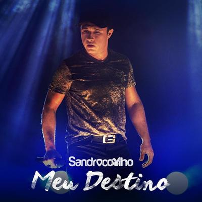Meu Destino (Ao Vivo)'s cover