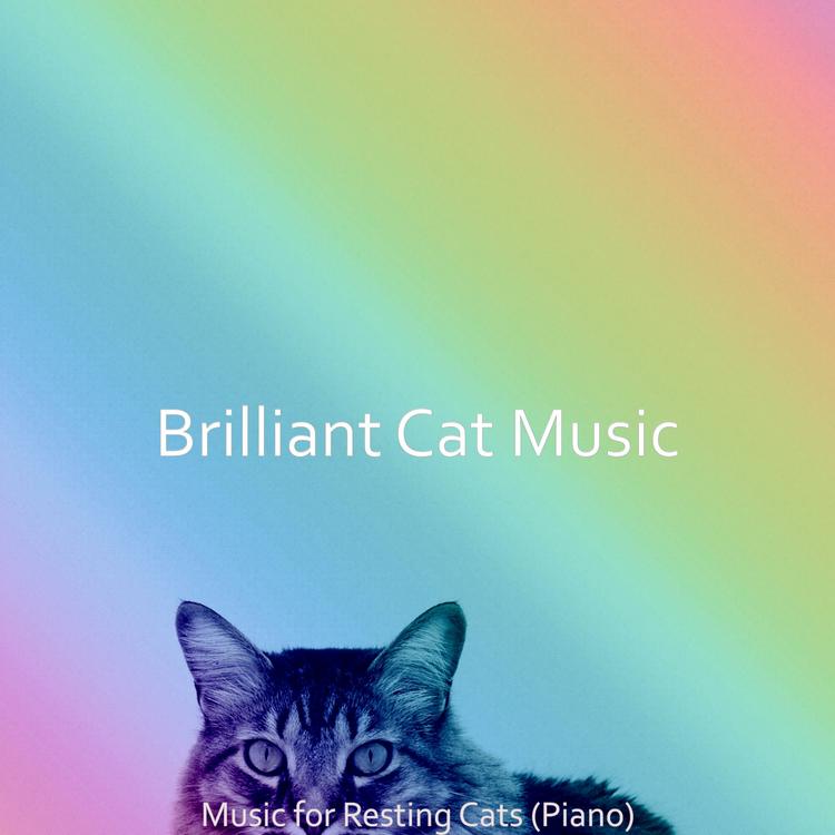 Brilliant Cat Music's avatar image