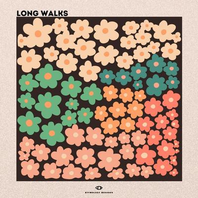 Long Walks (feat. Natasha Ghosh)'s cover