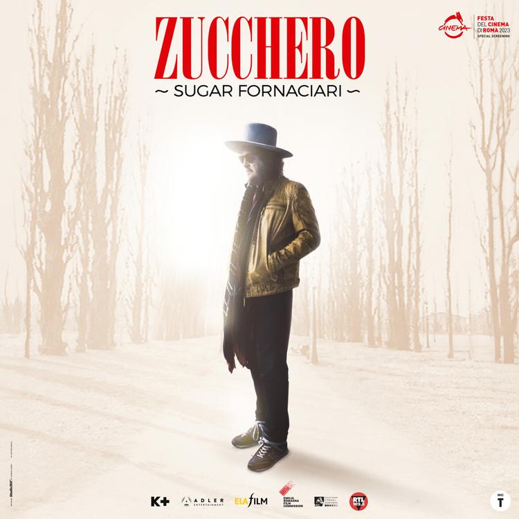 Zucchero Fornaciari's avatar image