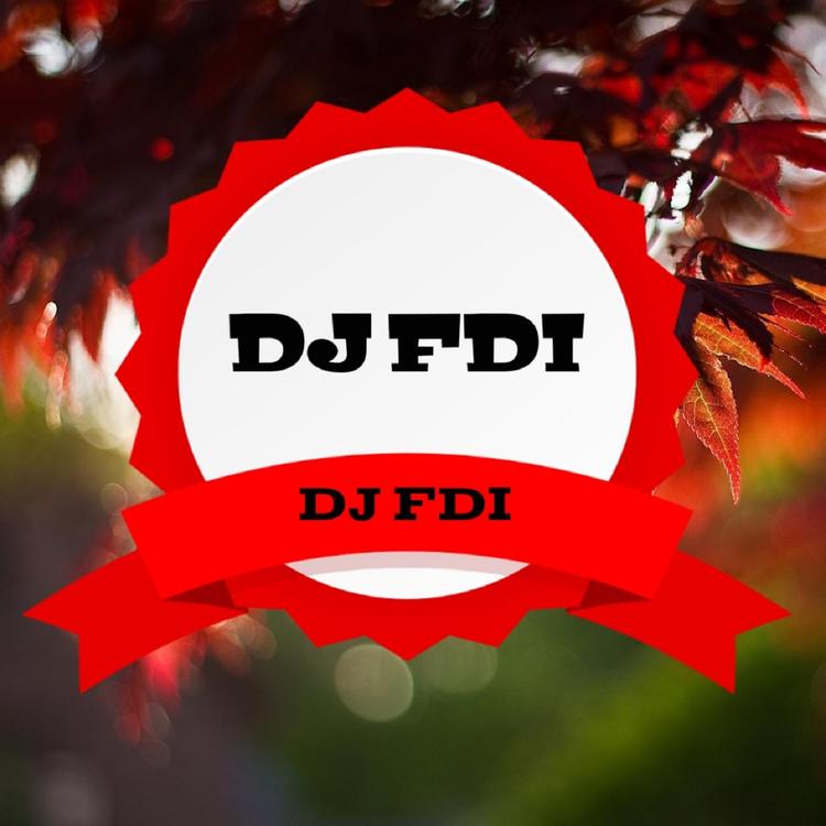 DJ FDI's avatar image