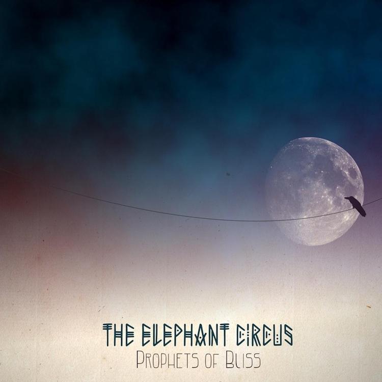 The Elephant Circus's avatar image