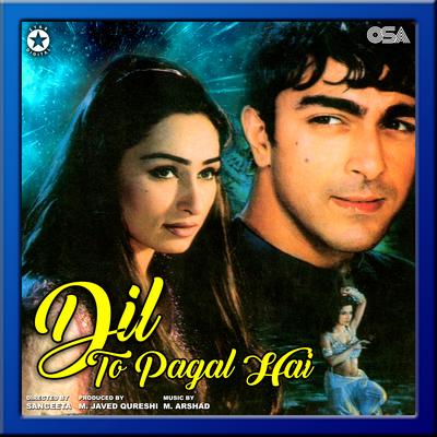 Dil To Pagal Hai (Original Motion Picture Soundtrack)'s cover