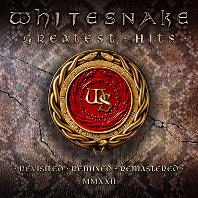 Is This Love (2022 Remix) By Whitesnake, Christopher Collier's cover
