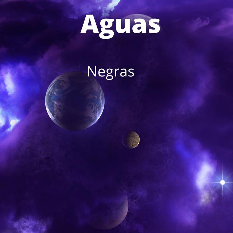Negras's avatar image