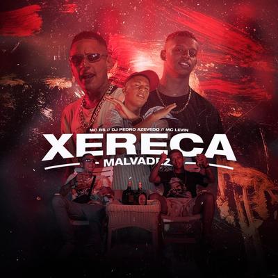 Xereca Malvadeza By MC Levin, MC BS, Dj Pedro Azevedo's cover