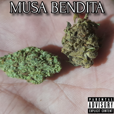 MUSA BENDITA.'s cover