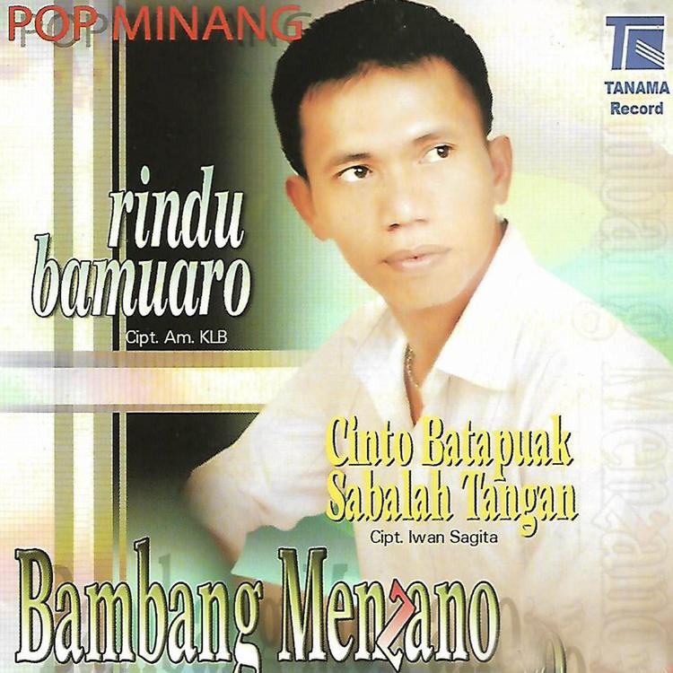 Bambang Menzano's avatar image