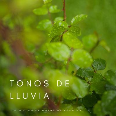 Talento De La Lluvia's cover