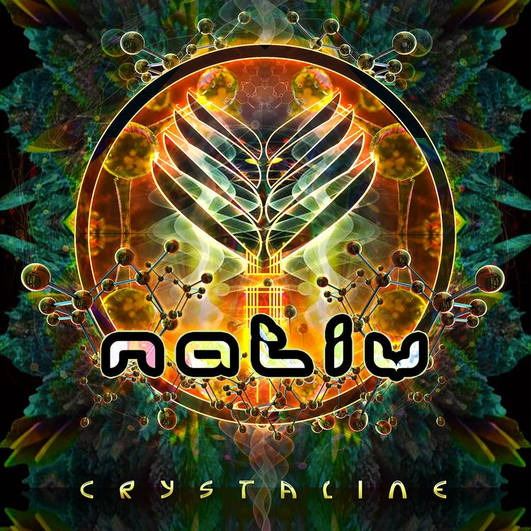 Nativ's avatar image