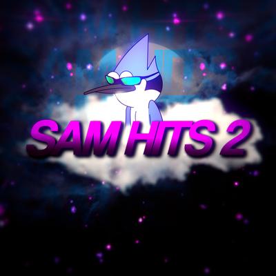 Sam Hits 2's cover