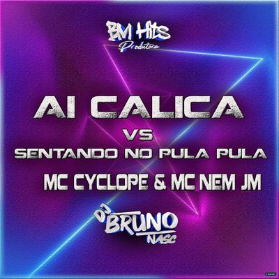 Ai Calica Vs Senta no Pula Pula's cover