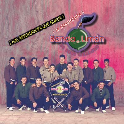 Se Me Cansó el Corazón By La Arrolladora Banda El Limón De Rene Camacho's cover