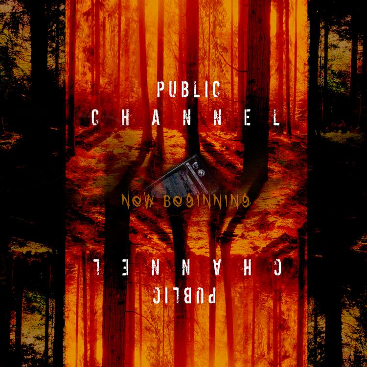 Public Channel (퍼블릭 채널)'s avatar image