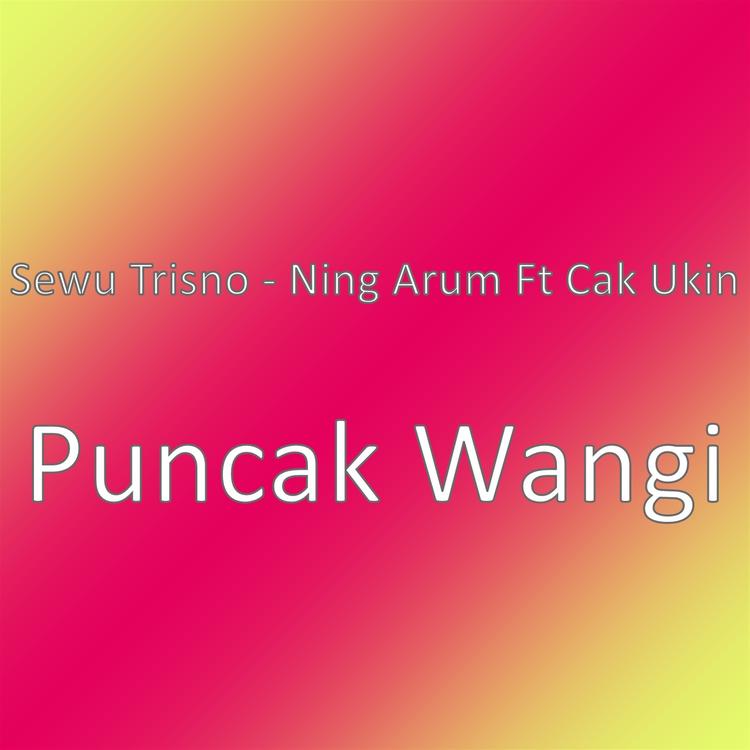 Sewu Trisno - Ning Arum's avatar image