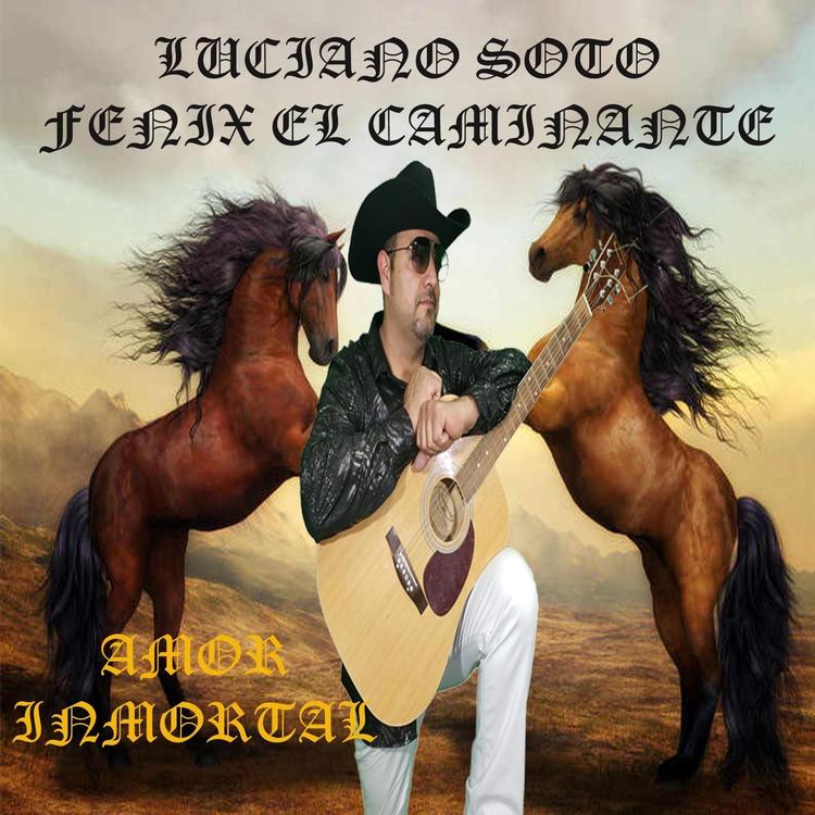Luciano Soto Fenix el Caminante's avatar image