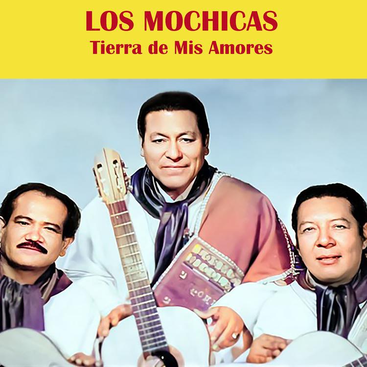 Los Mochicas's avatar image