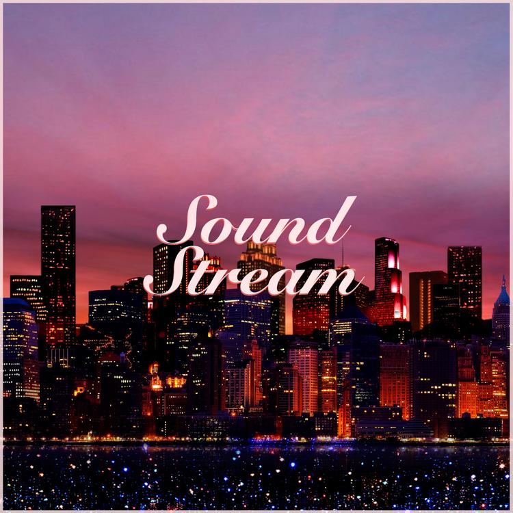 SoundStream's avatar image