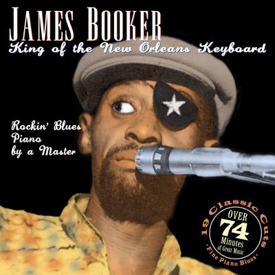Ray Charles Medley By James Booker's cover
