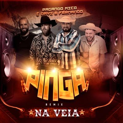 Pinga na Veia (Remix) By Pagando Mico, Davi e Fernando's cover