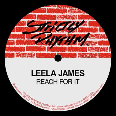 Reach For It By Leela James's cover