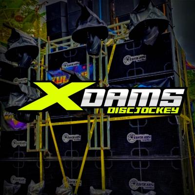 X DAMS DISC JOCKEY's cover