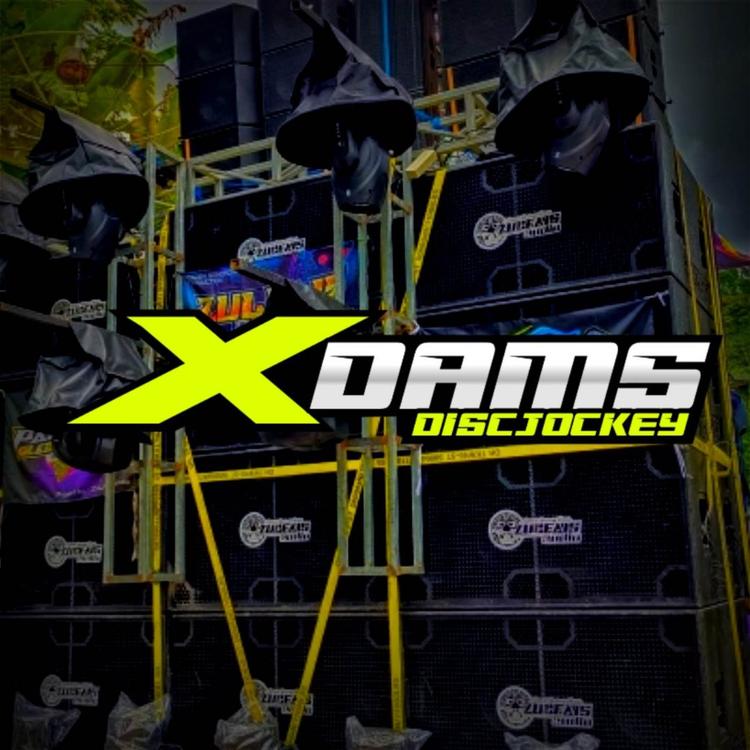 X DAMS DISC JOCKEY's avatar image