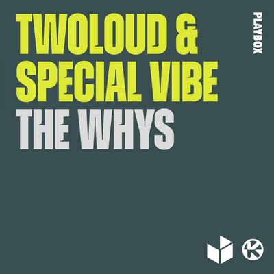 The Whys By twoloud, Special Vibe's cover