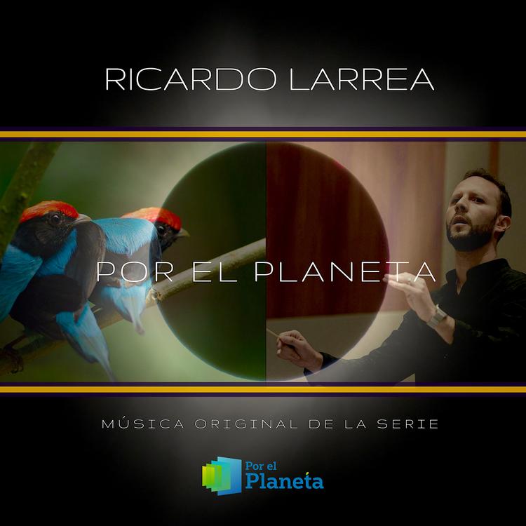 Ricardo Larrea's avatar image