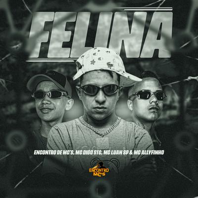 Felina By Mc Digo STC, MC Luan SP, MC Allyfinho, Encontro de MC's's cover