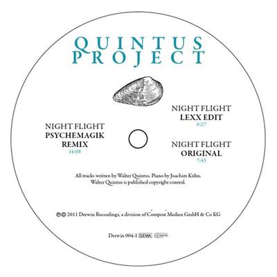 Night Flight (Original) By Quintus Project's cover