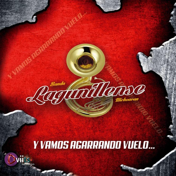 Banda Lagunillense's avatar image