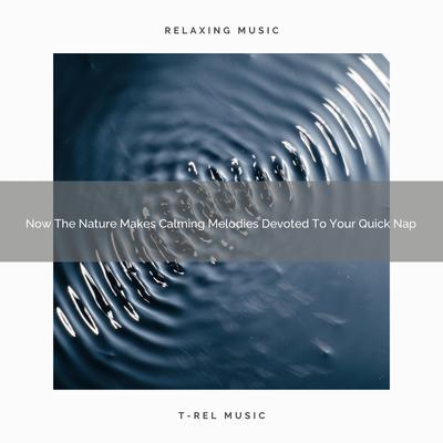 2021 New: Now The Nature Makes Calming Melodies Devoted To Your Quick Nap's cover