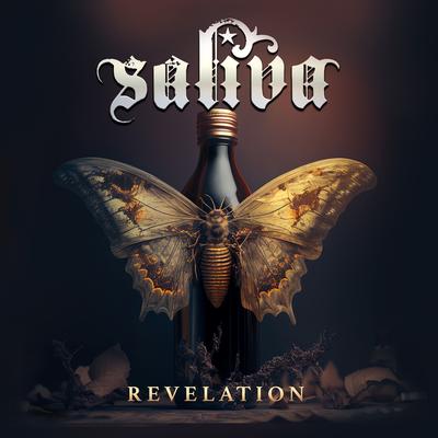 Revelation's cover