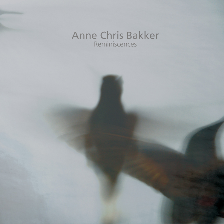 Anne Chris Bakker's avatar image