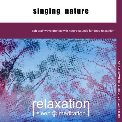 Thunderstorm Fantasy By Relaxation Sleep Meditation's cover