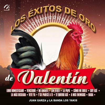 Los Éxitos de Oro de Valentin's cover