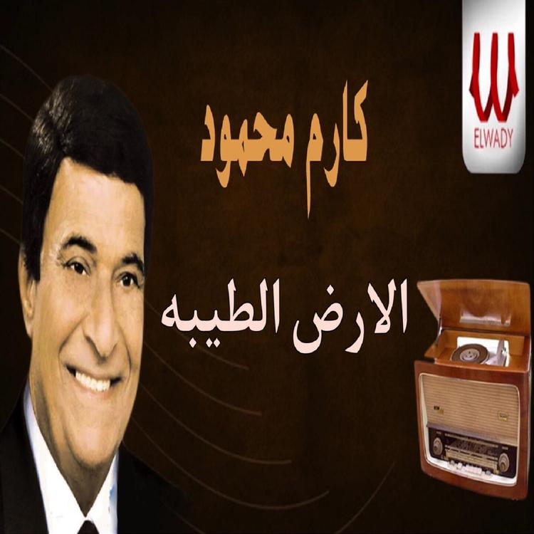 Karem Mahmoud's avatar image