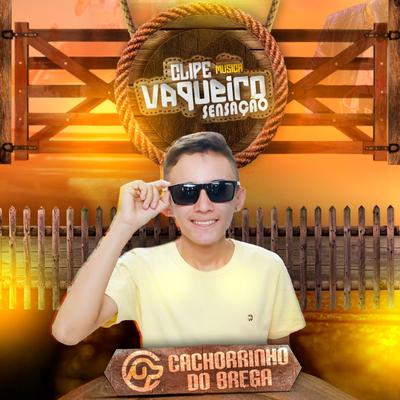 Vaquerio Sensação's cover