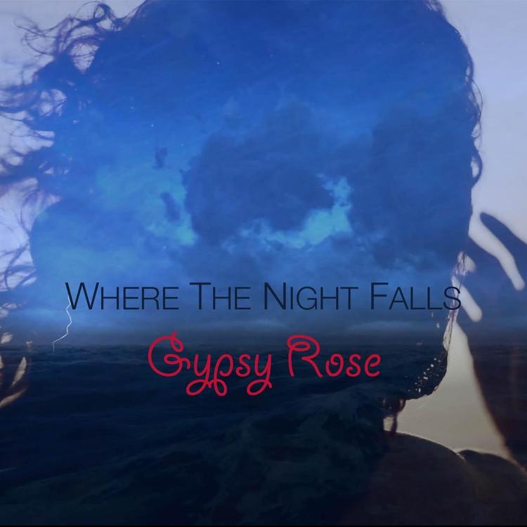 Where the Night Falls's avatar image
