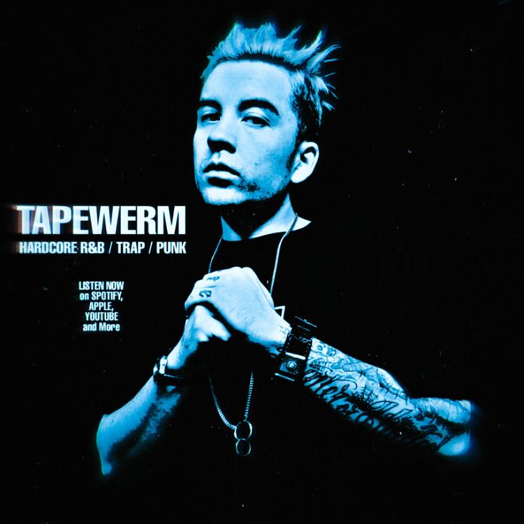 Tapewerm's avatar image