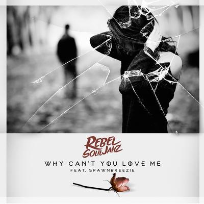 Why Can't You Love Me's cover