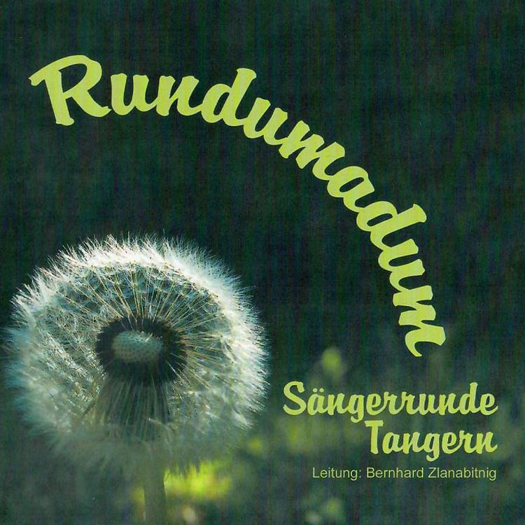 Sängerrunde Tangern's avatar image