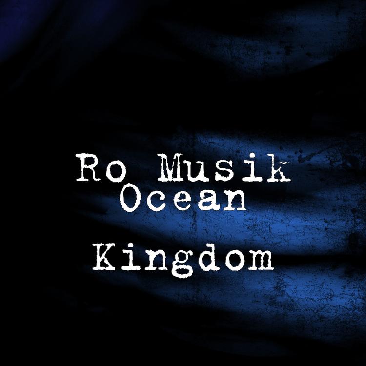 Ro Musik's avatar image