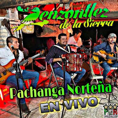 El Papel Cambio (En Vivo)'s cover