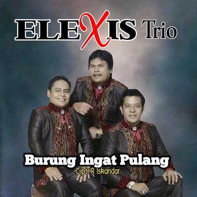 BURUNG INGAT PULANG's cover